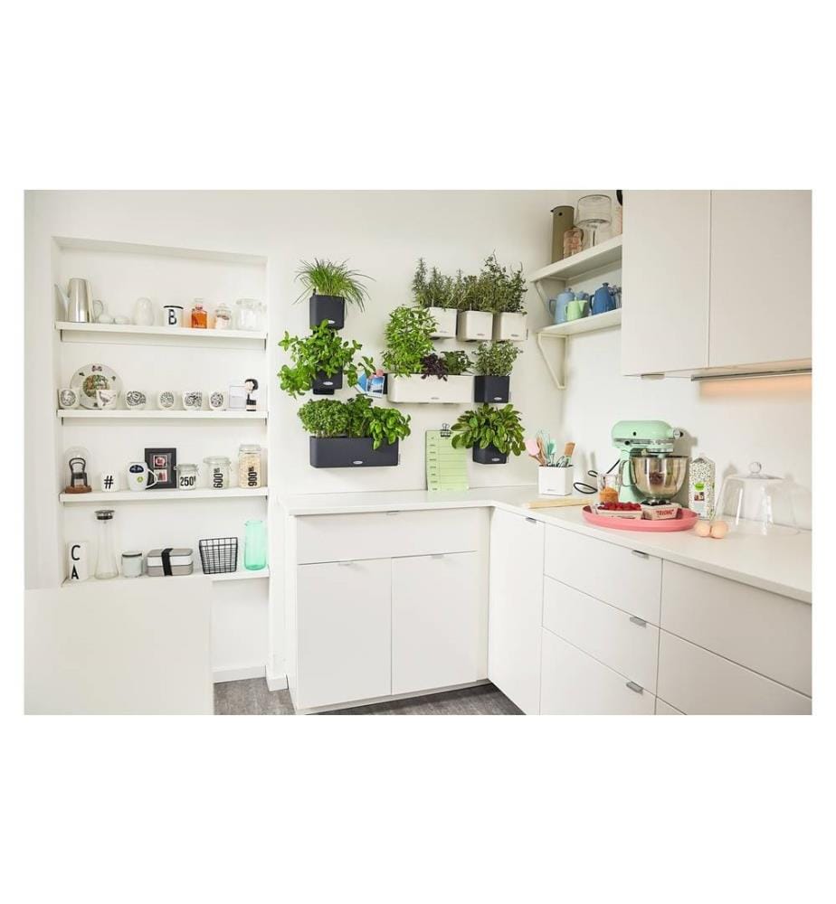 LECHUZA - Pot de fleur Green Wall Home Kit CO Blanc