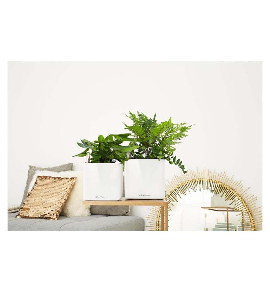 LECHUZA - Blumentopf CUBE Glossy 14 Weiss glanz