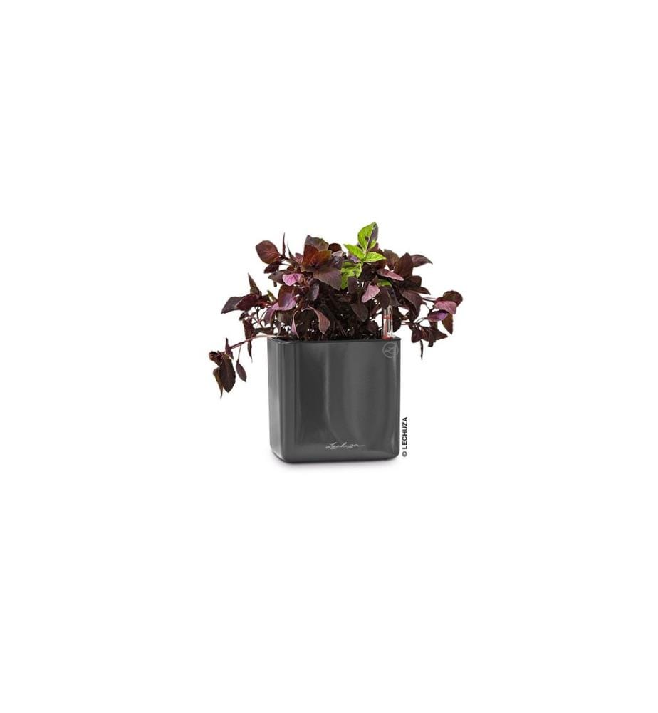 LECHUZA - Blumentopf CUBE Glossy 14 Schwarz