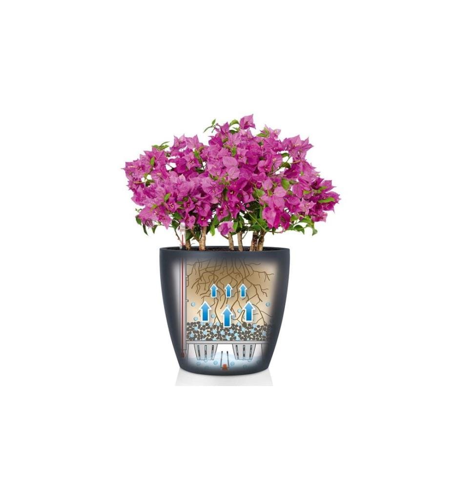 LECHUZA - Pot à fleur CLASSICO Color 35 Gris foncé