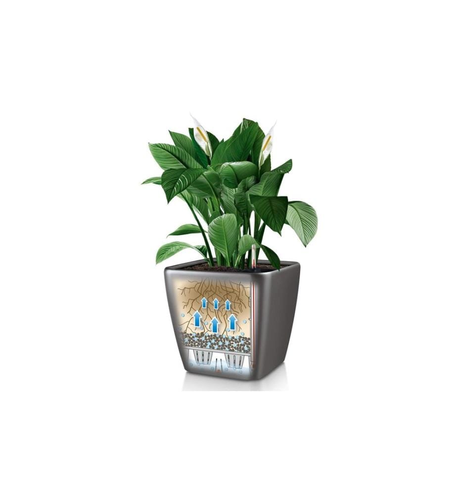 LECHUZA - Pot à fleur Quadro Premium 21 LS Blanc