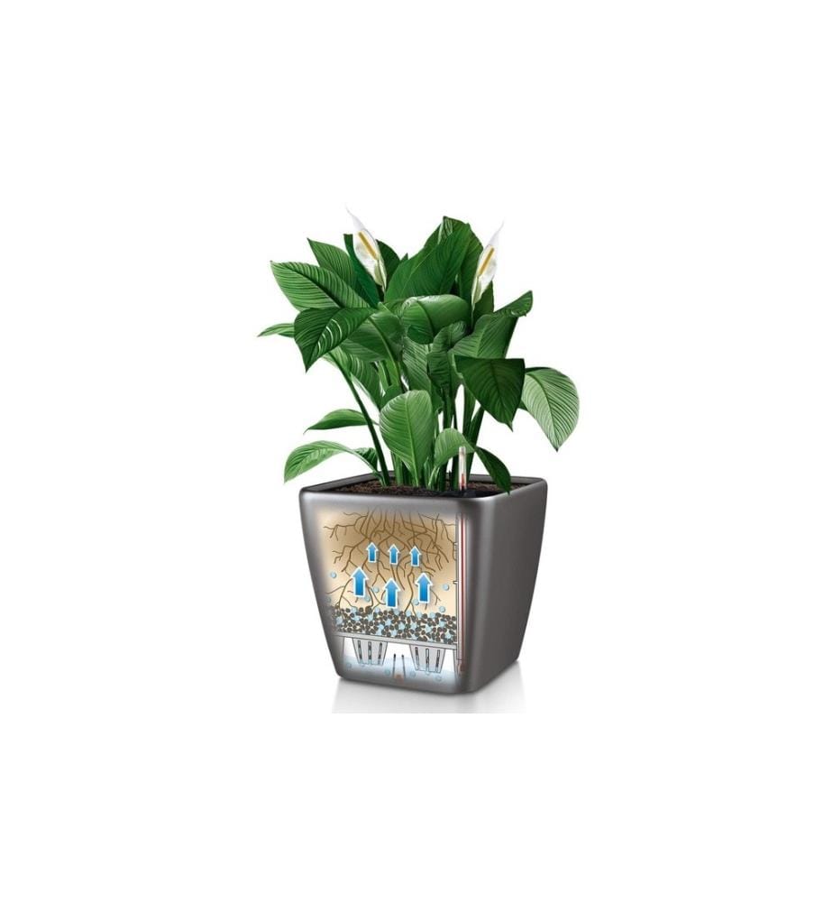 LECHUZA - Pot à fleur Quadro Premium 21 LS Gris foncé
