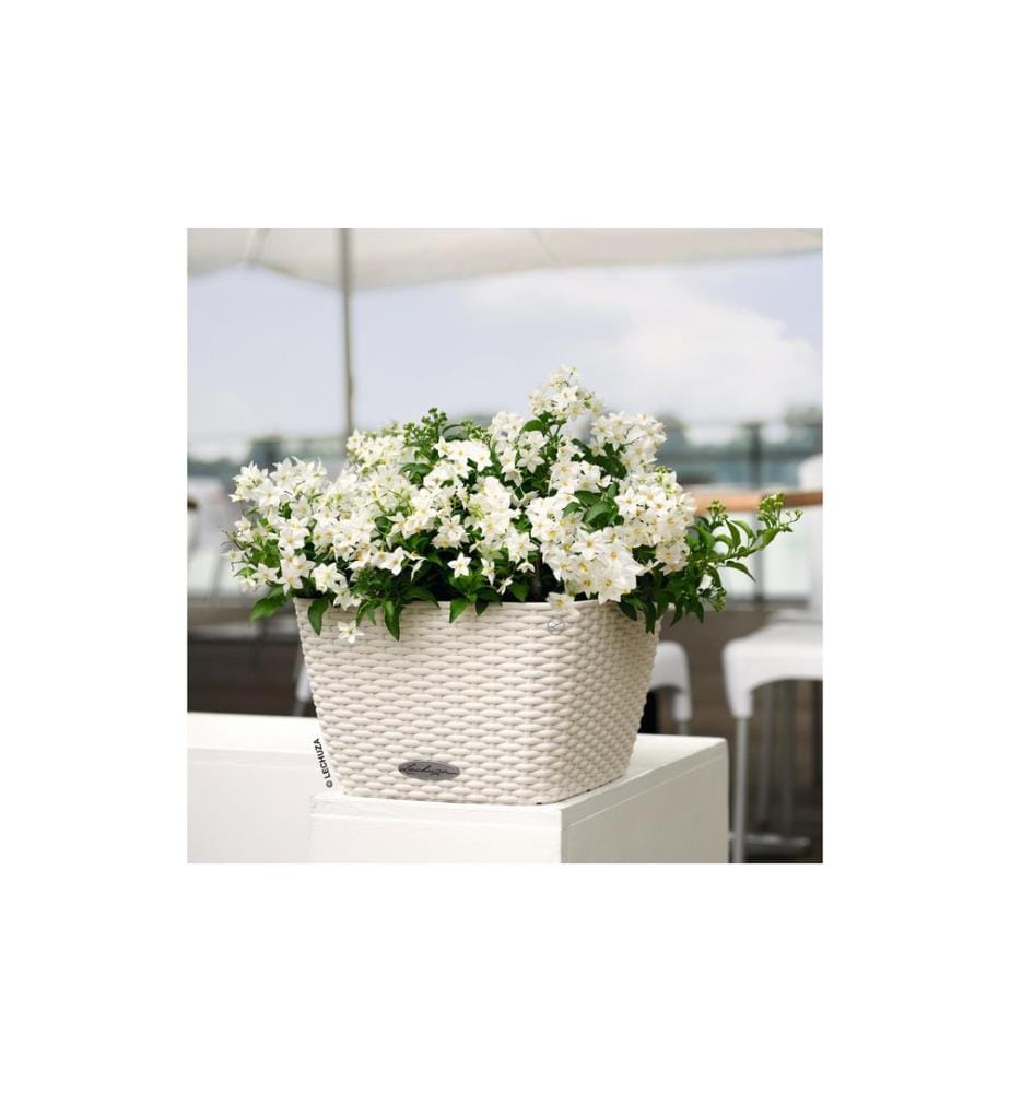 LECHUZA - Pot de fleur Bacino Cottage 30, Blanc