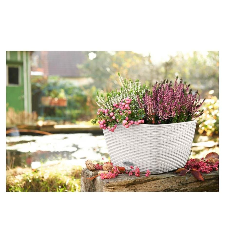 LECHUZA - Pot de fleur Bacino Cottage 30, Blanc