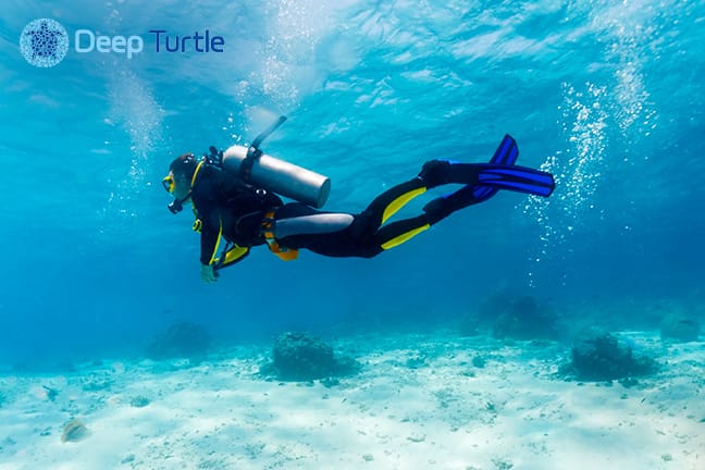 Brevet de plongée avec certification PADI Scuba Diver