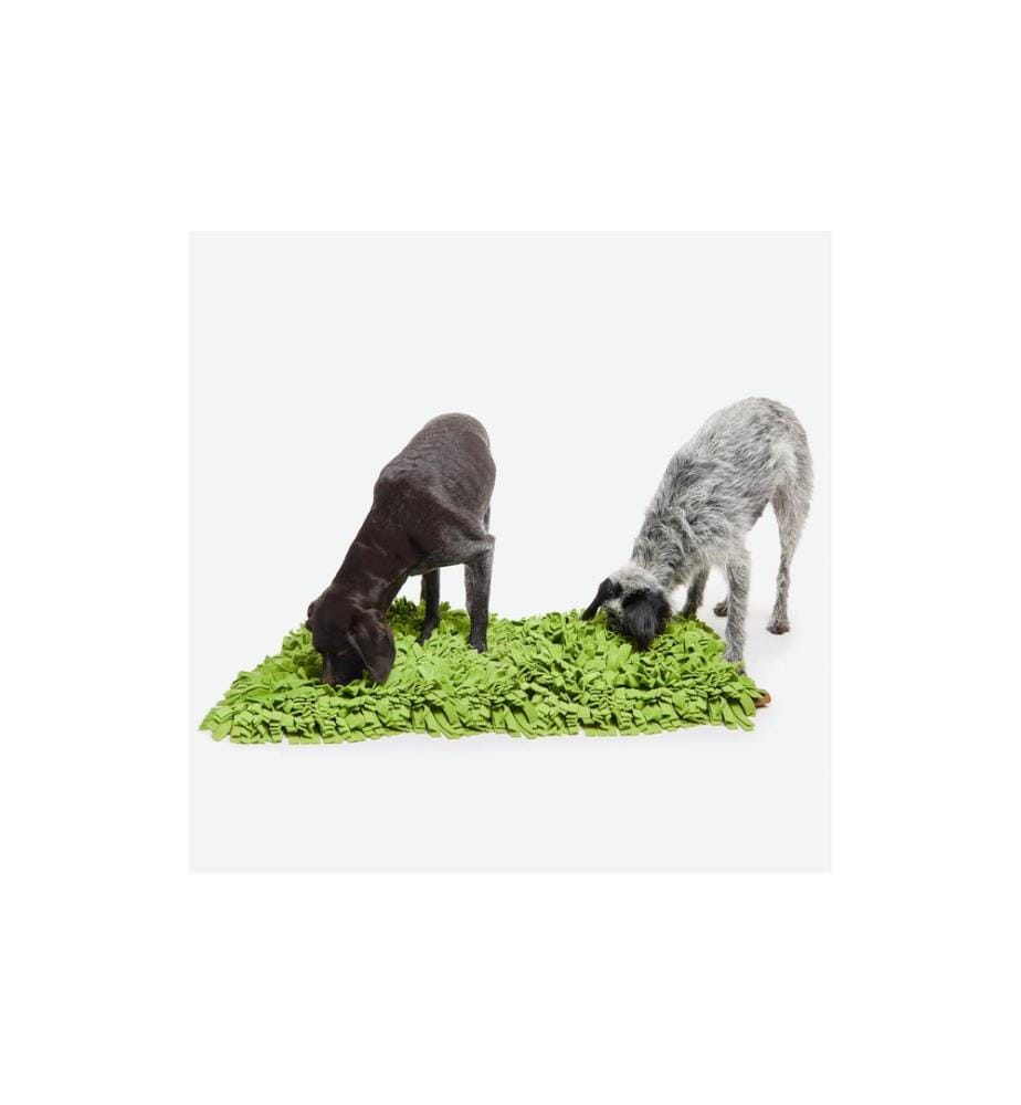 KNAUDER'S BEST - Hunde-Spielzeug Schnüffelrasen XL 90 x 70 cm