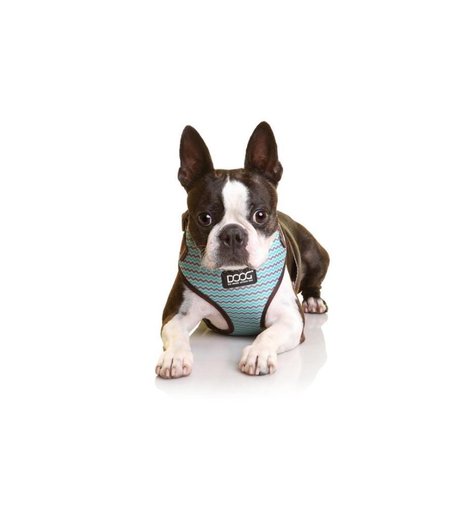 Doog Geschirr Neoflex Benji S Braun / Blau