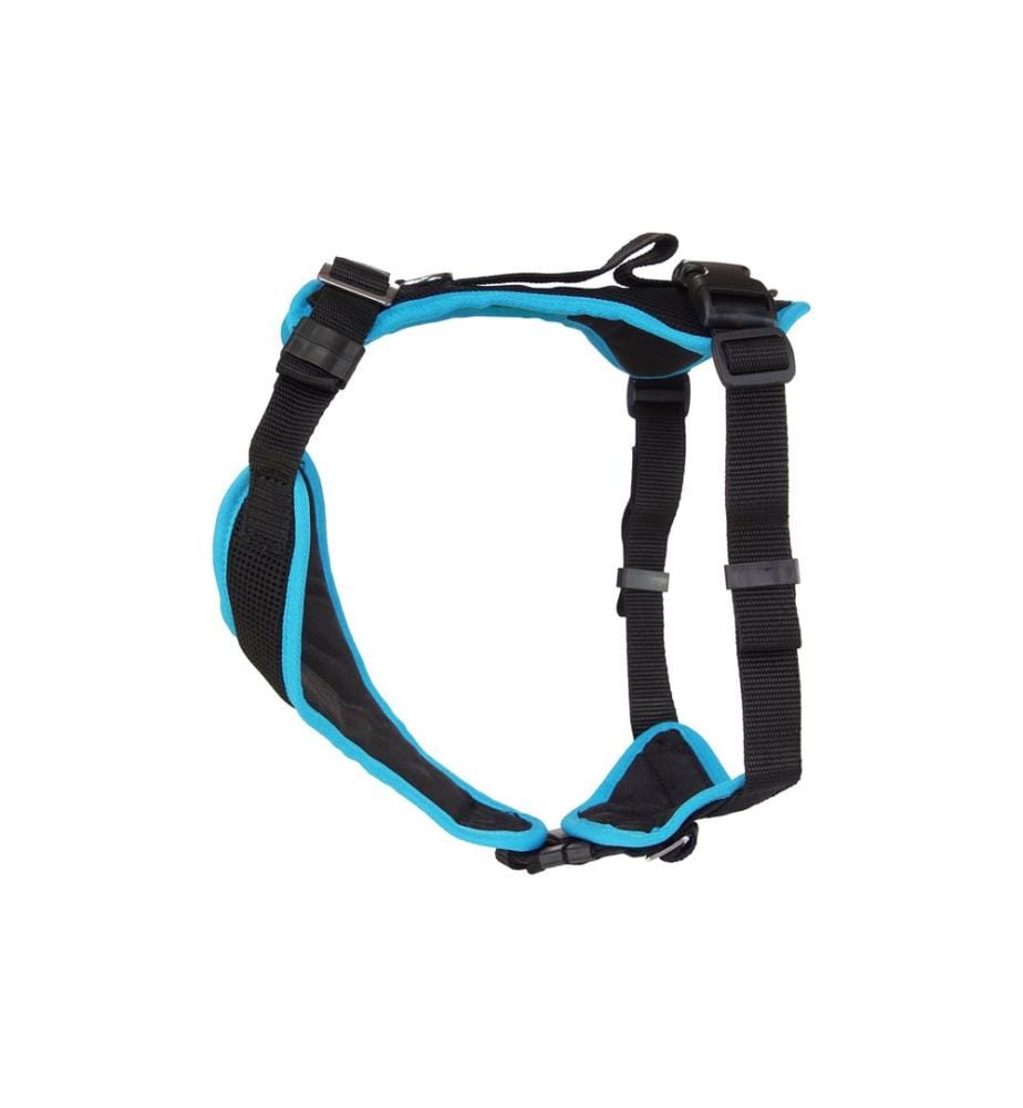 Grossenbacher harnais pour chiot Popp-it, turquoise