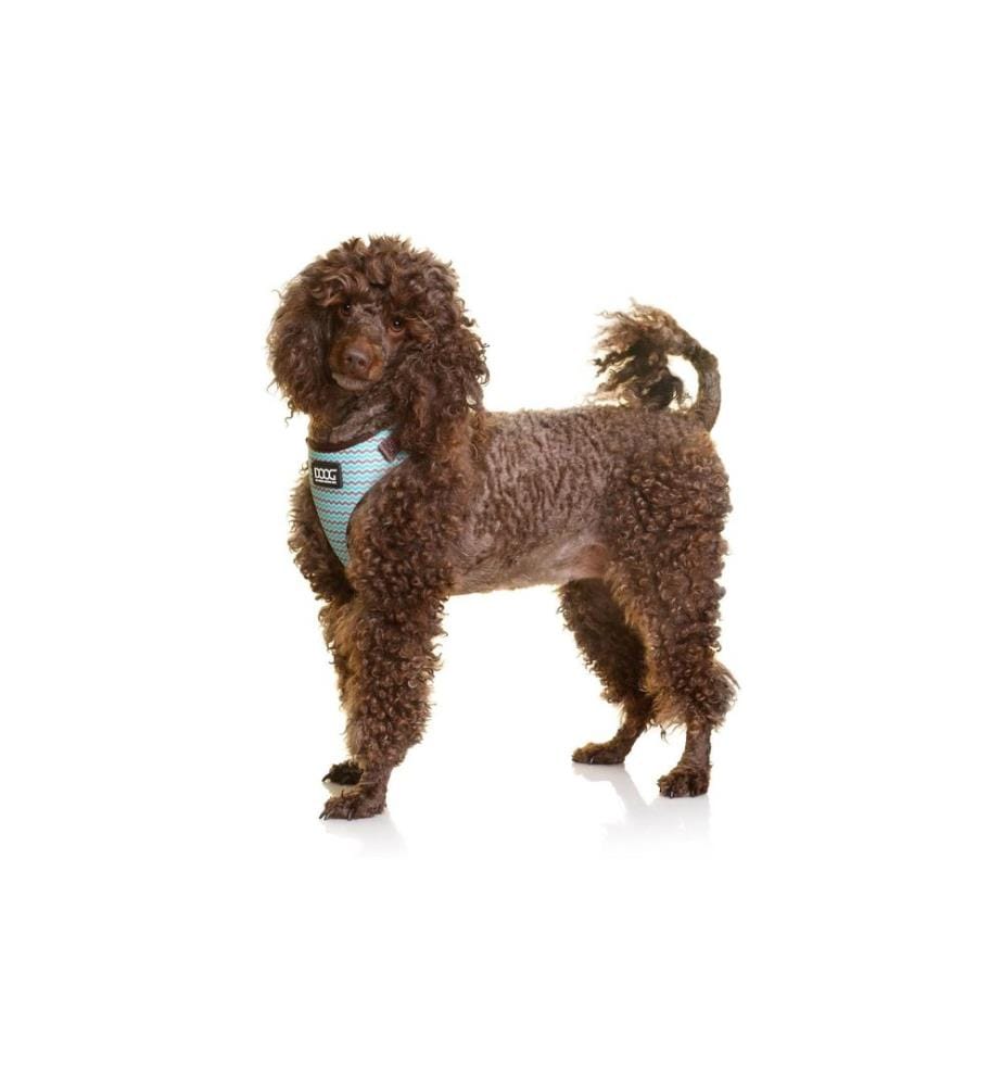 Harnais Doog Neoflex Benji L Marron / Bleu