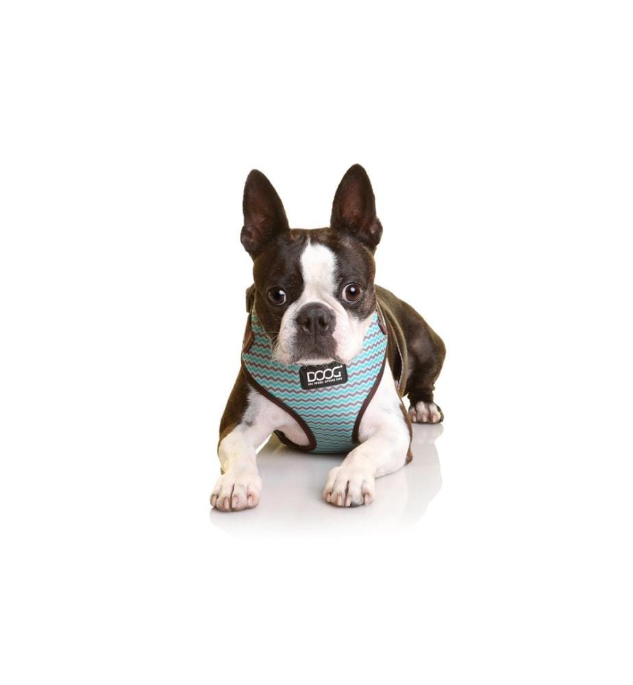 Harnais Doog Neoflex Benji L Marron / Bleu