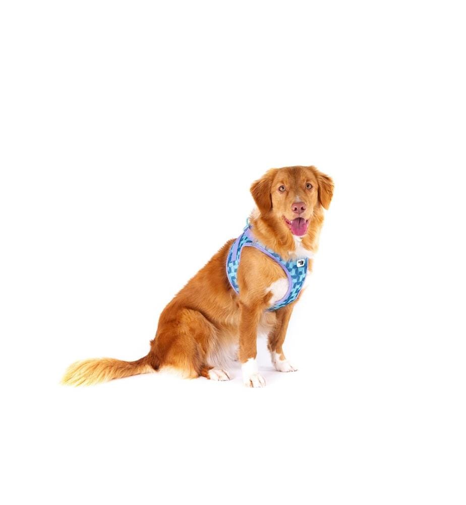 curli Geschirr Vest Air-Mesh LE26 XS Semi Circle Blau