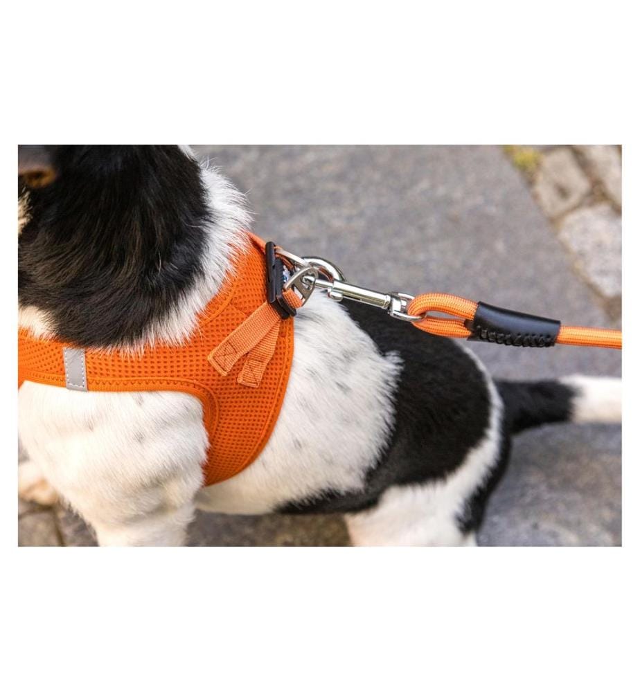 curli Hundeleine Stretch Comfort Moss ø 8 mm / 1.8 m
