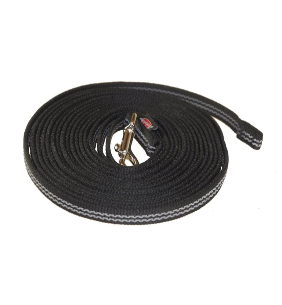 Grossenbacher Laisse d'entraînement ABS sangle, 16 mm / 4 m, Noir