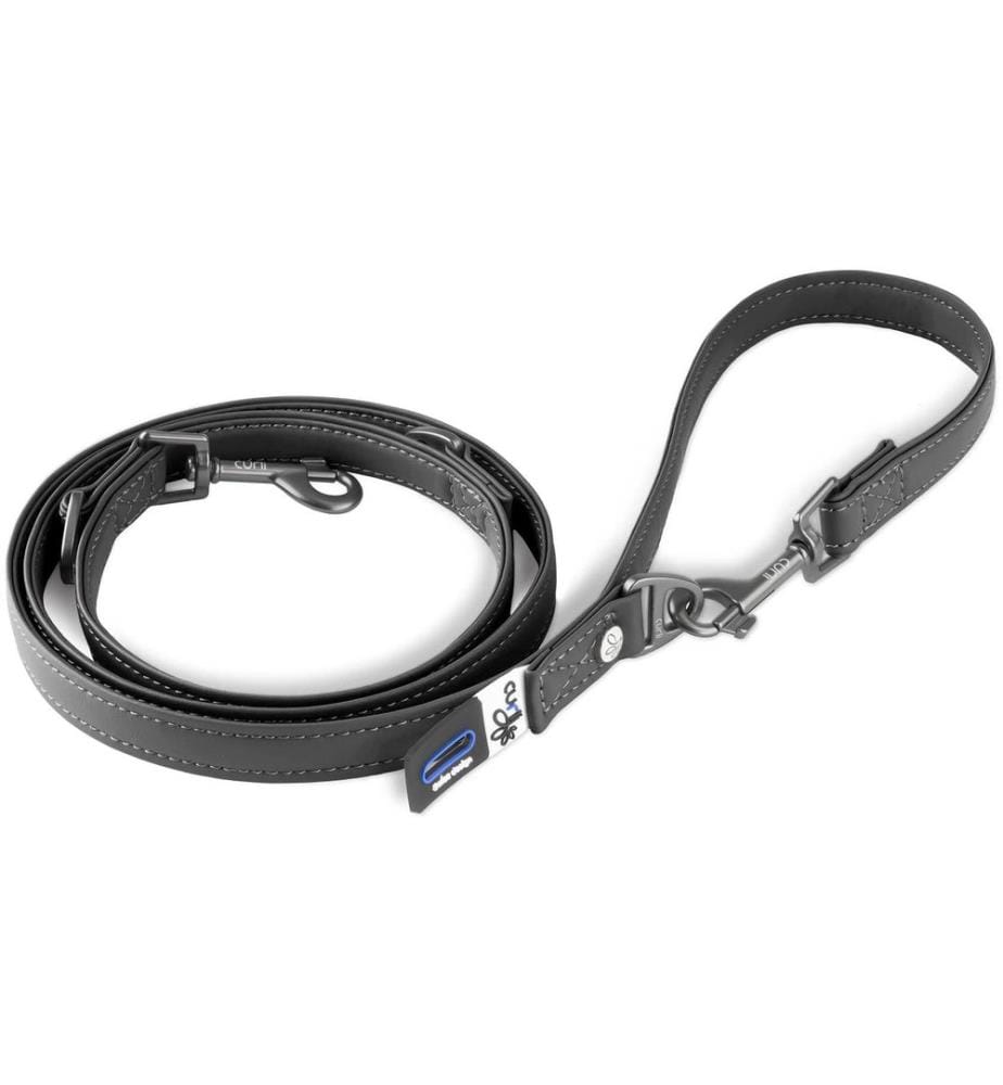 Laisse pour chien curli en cuir de pomme, L, 1.6 m, noir