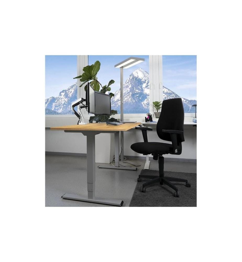 CONTINI - höhenverstellbarer Bürotisch 1.6 m x 0.8 m, Eiche, Grau