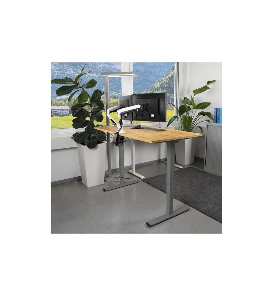 CONTINI - höhenverstellbarer Bürotisch 1.6 m x 0.8 m, Eiche, Grau