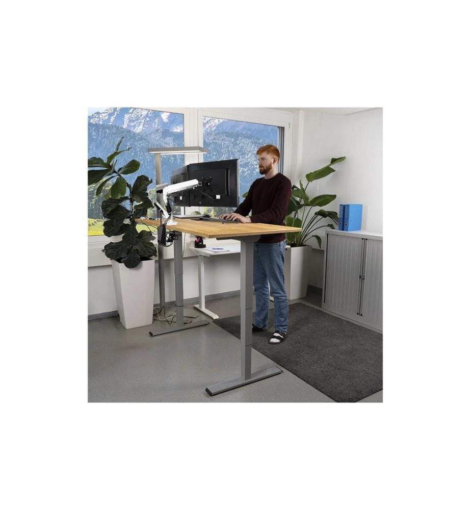 CONTINI - höhenverstellbarer Bürotisch 1.6 m x 0.8 m, Eiche, Grau