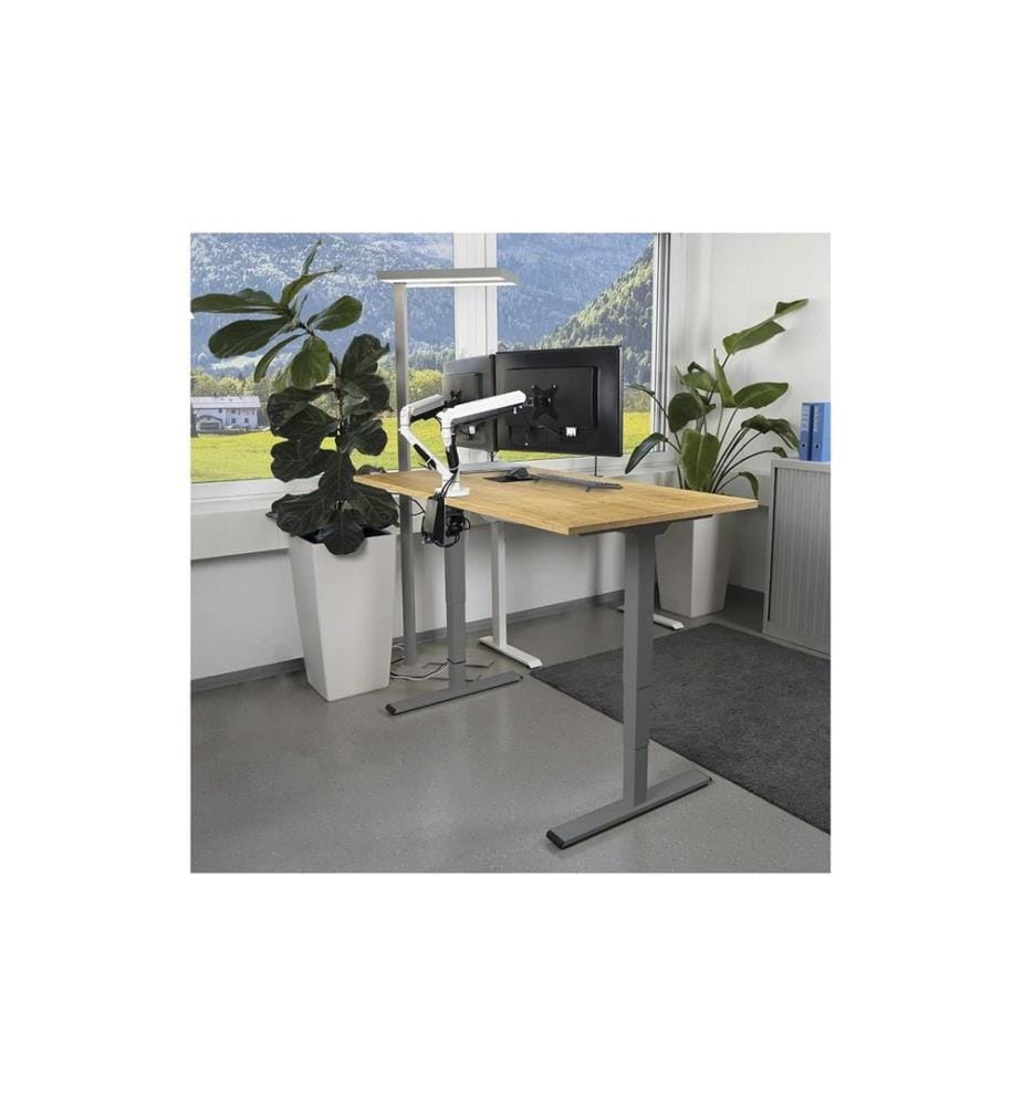 CONTINI - höhenverstellbarer Bürotisch 1.4 x 0.8 m, Eiche/Dunkelgrau