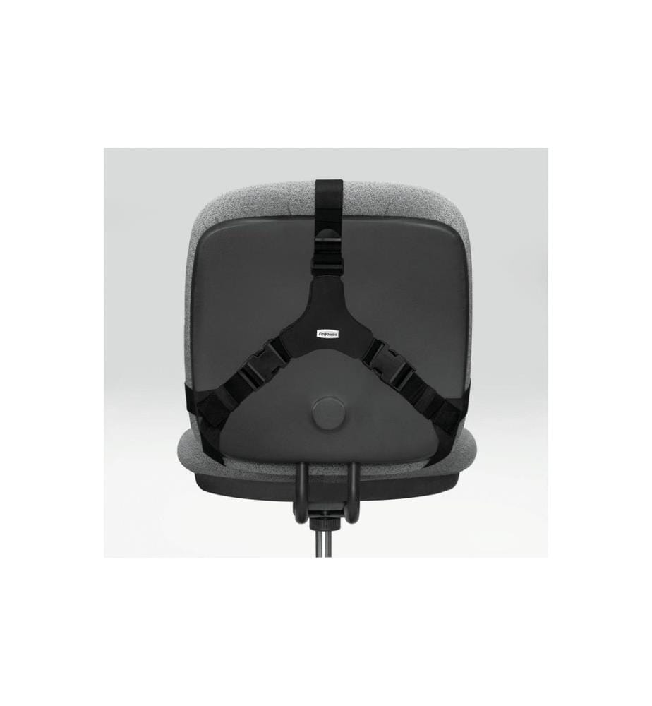 FELLOWES - Stabilisateur dorsal Professional