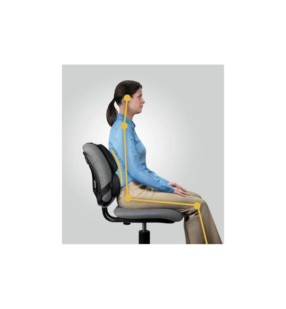 FELLOWES - Stabilisateur dorsal Professional