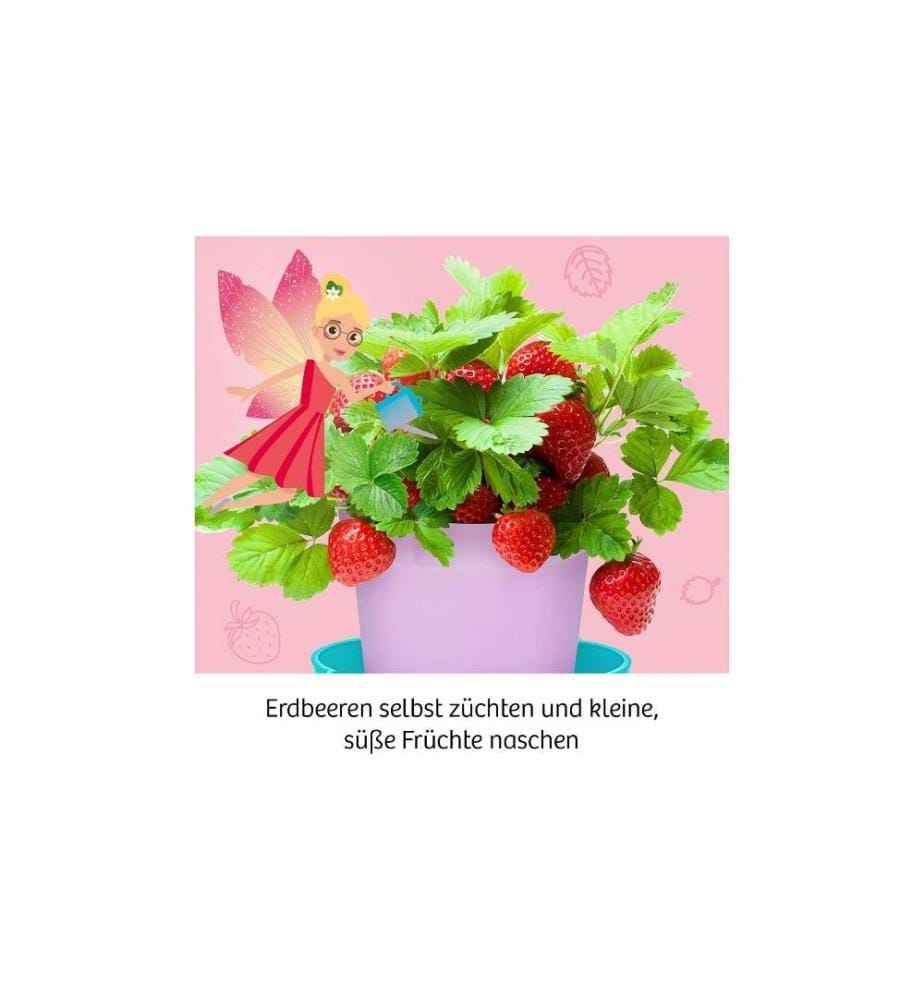 KOSMOS - Experimentierkasten Feen-Erdbeeren