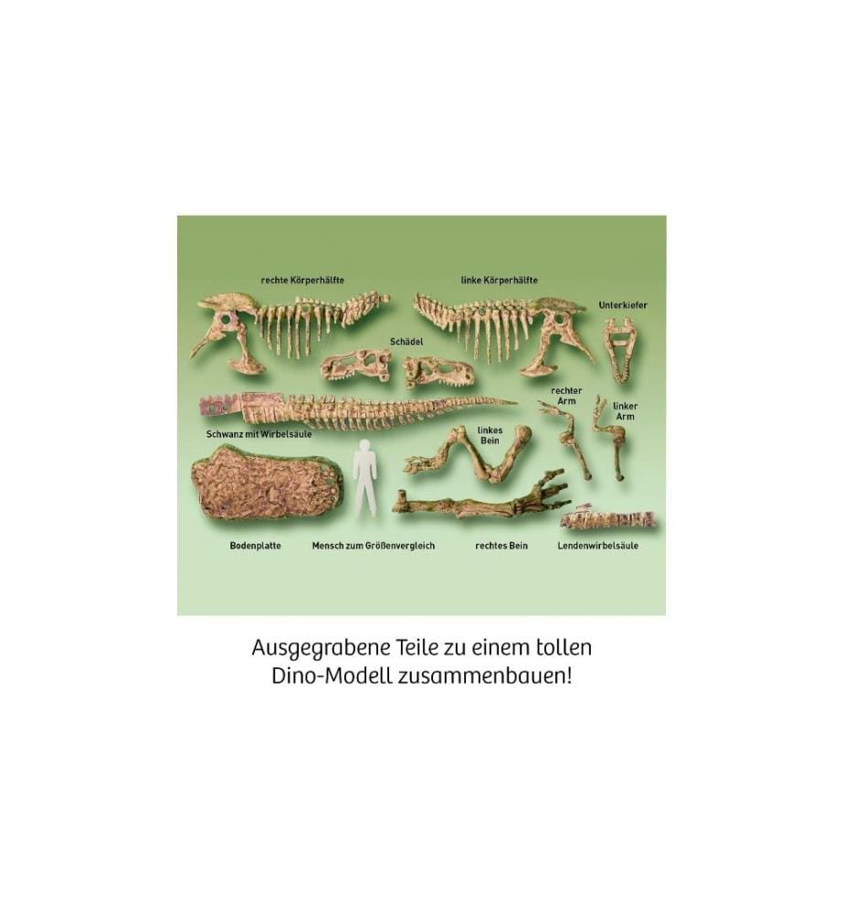 KOSMOS - Experimentierkasten T-Rex 3D