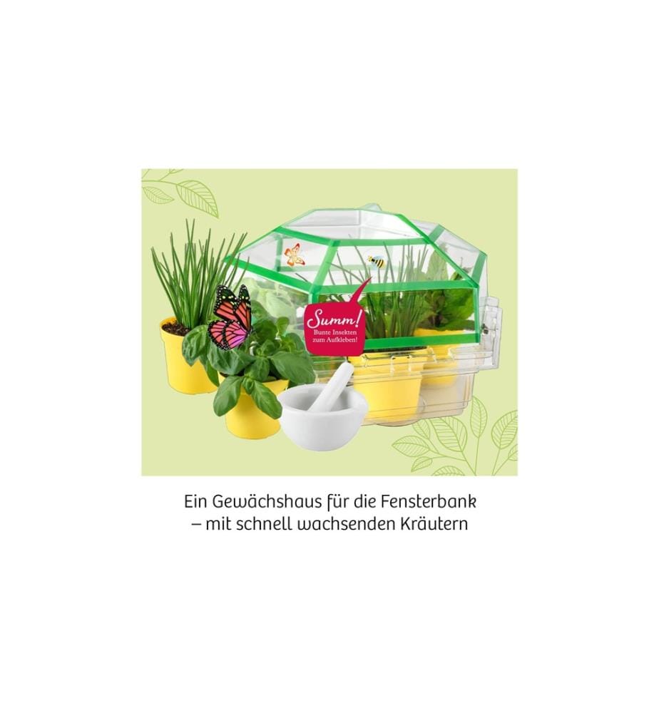 KOSMOS - Kräutergarten