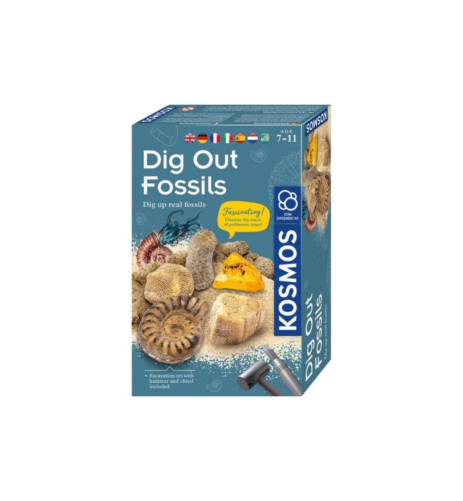 KOSMOS - Boîtes d'expérimentation Fossiles INT