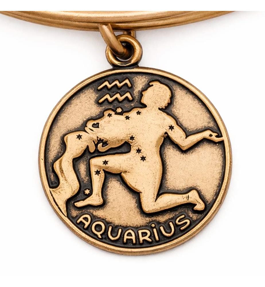 Armband Wassermann – Goldfarben