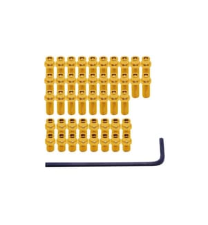 DMR - Broches de rechange pour Vault 44 pièces