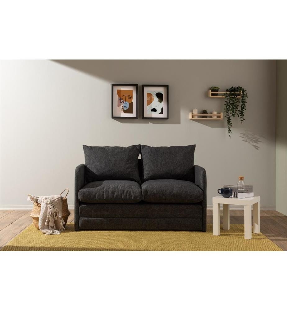 Saga 2-Sitzer Schlafsofa - Dunkelgrau