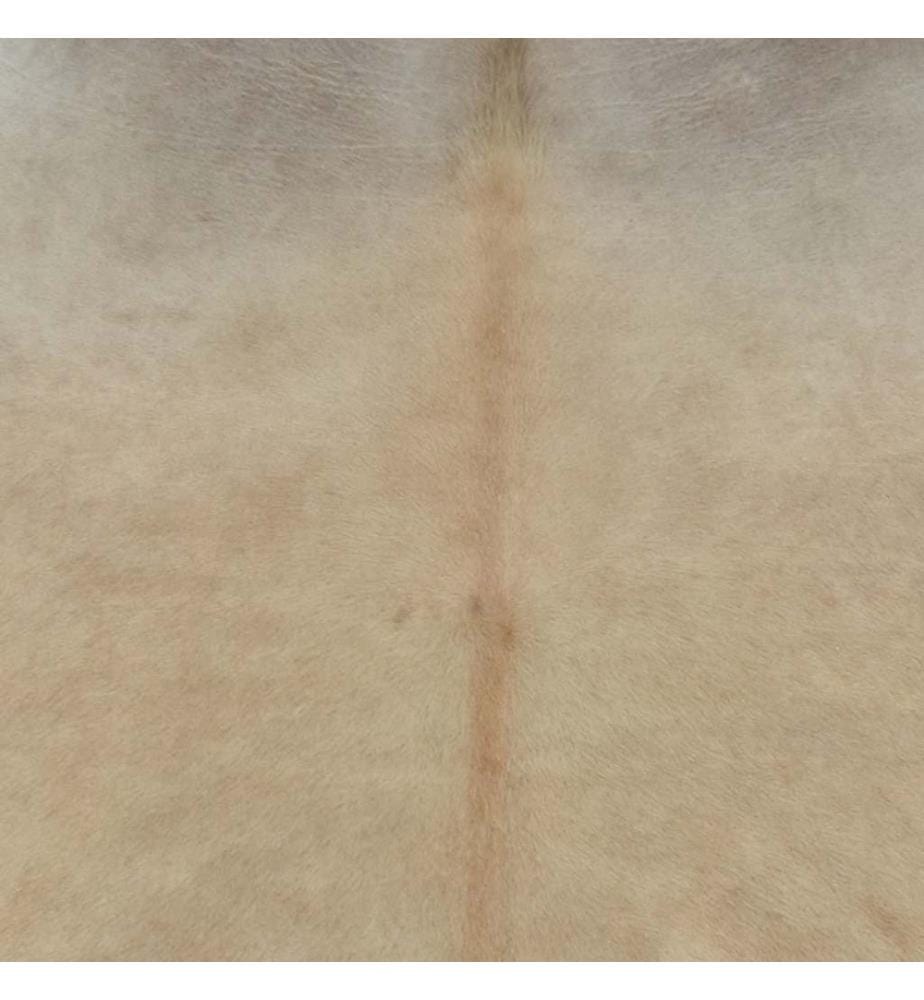 Tapis en peau de vache véritable 150 x 170 cm Beige