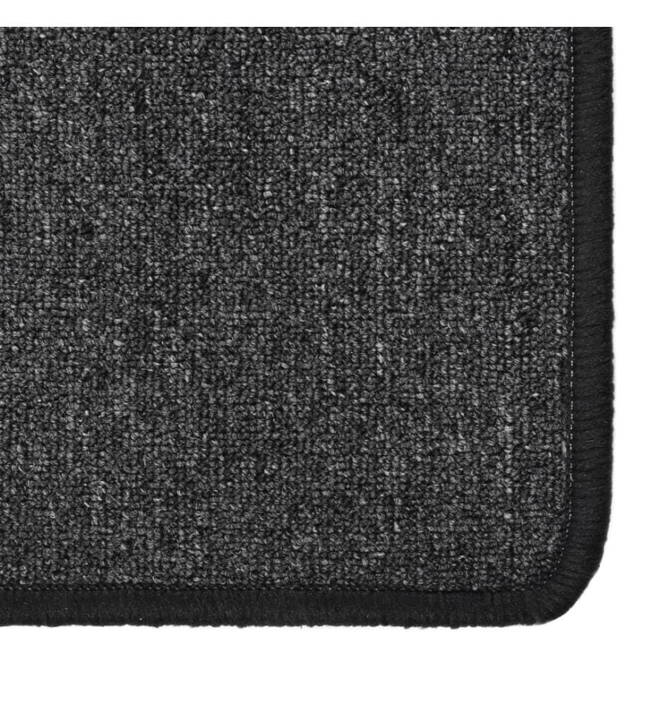 Tapis de couloir Anthracite 50x200 cm