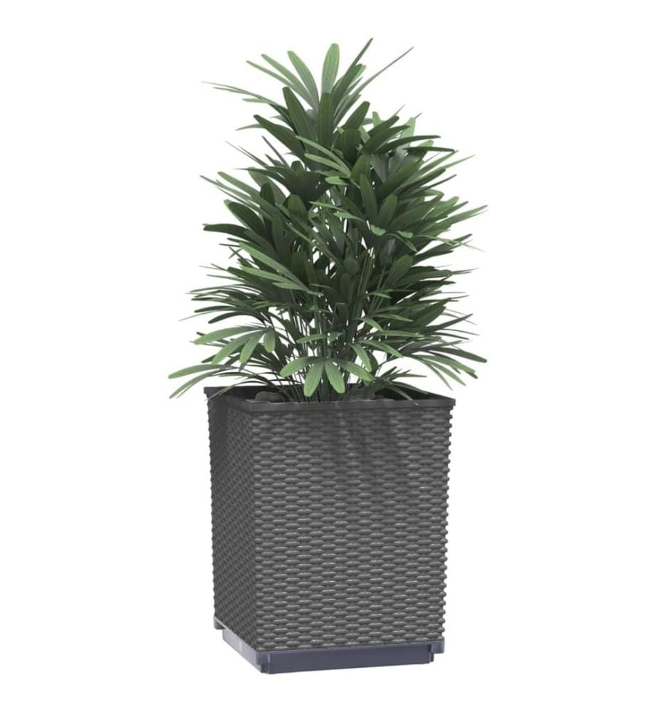 Pflanzkübel 2 Stk. Schwarz 30x30x37 cm Polypropylen