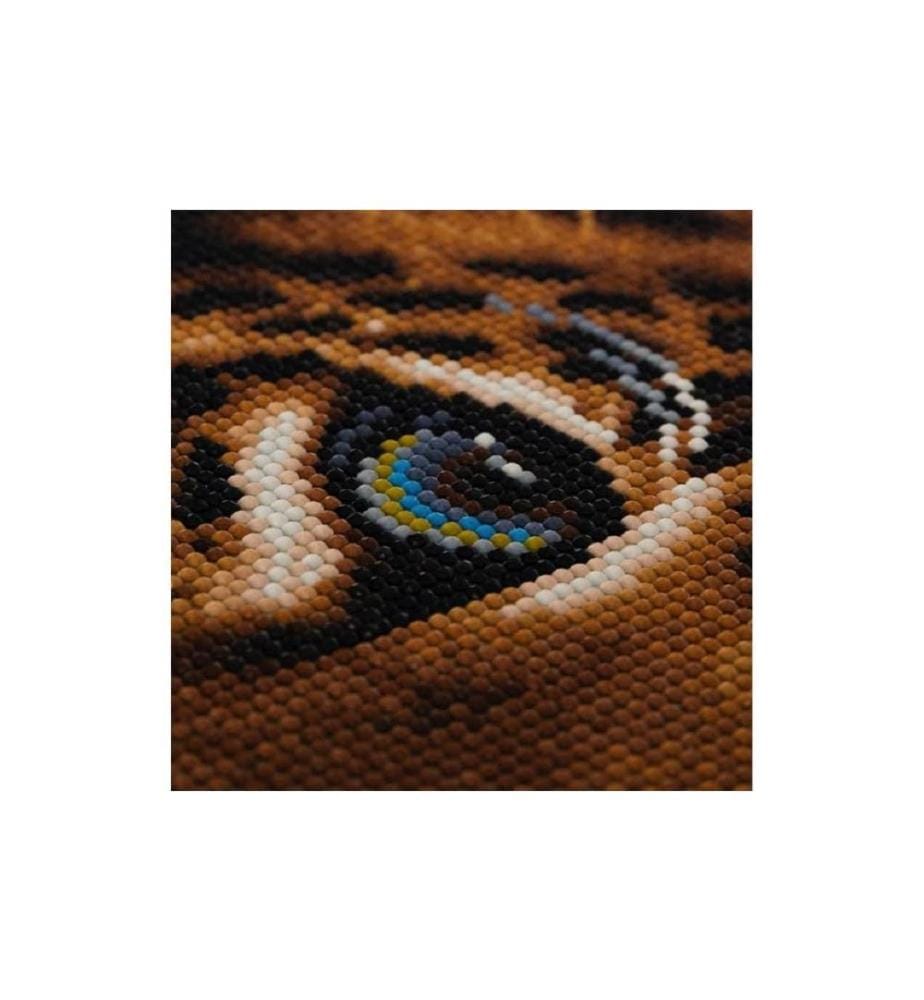 CRAFT BUDDY - Bastelset Crystal Art Kit Leopard 30 x 30 cm