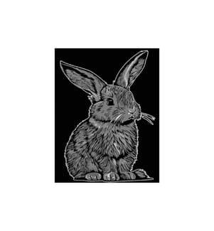 TATARUGA - Image de velours A4, lapin
