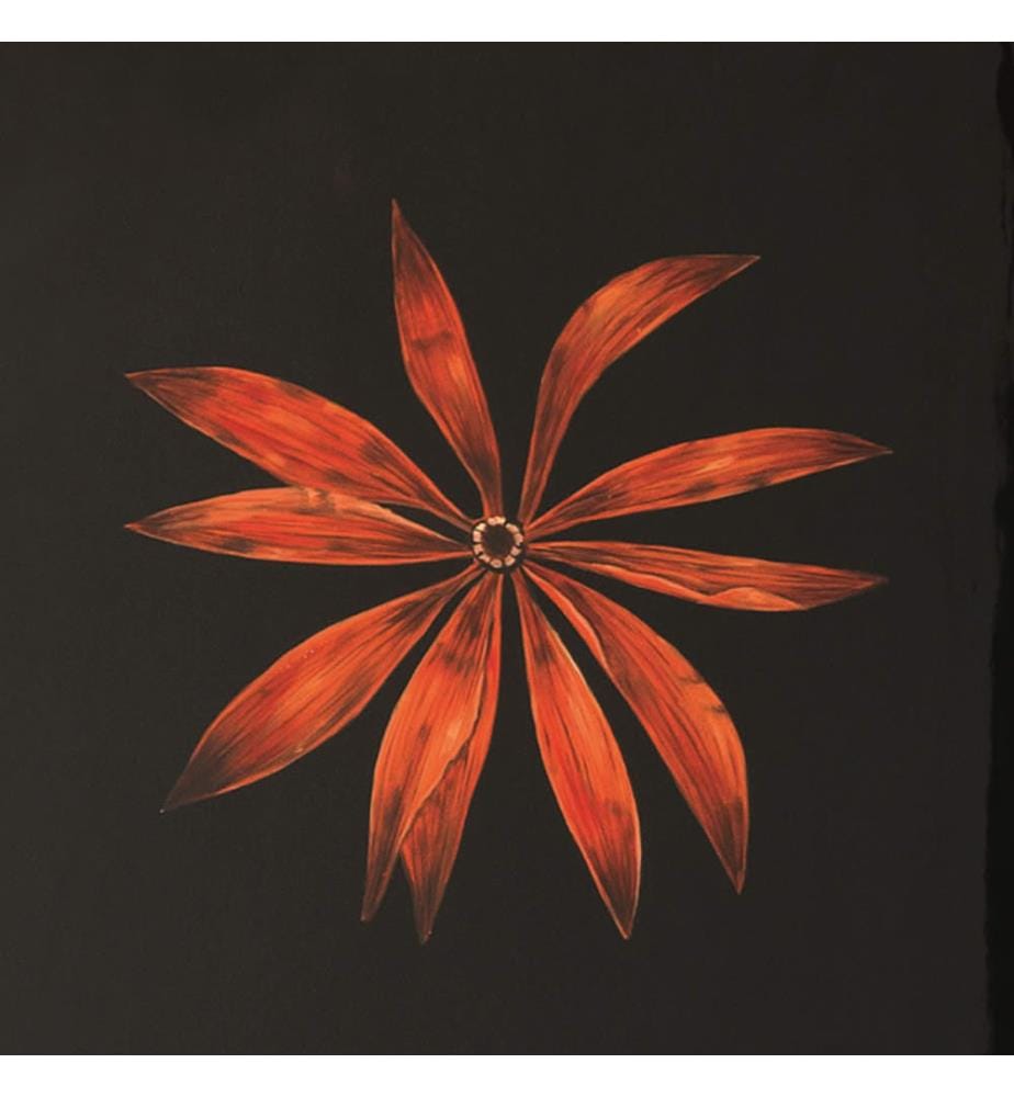 Pannello Dekorative Platte 60x4x120 cm - Schwarz