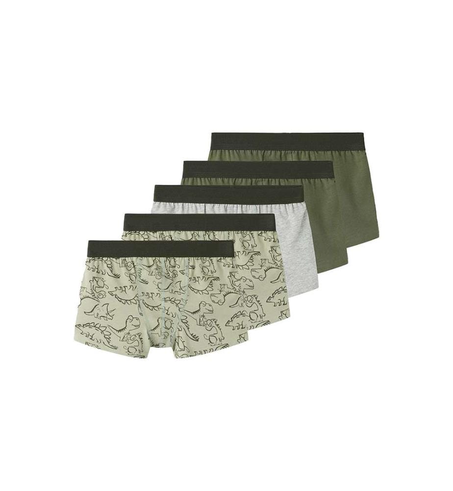 Lot de 5 boxers dinosaures - Vert Sauge