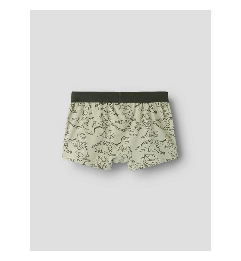 Lot de 5 boxers dinosaures - Vert Sauge
