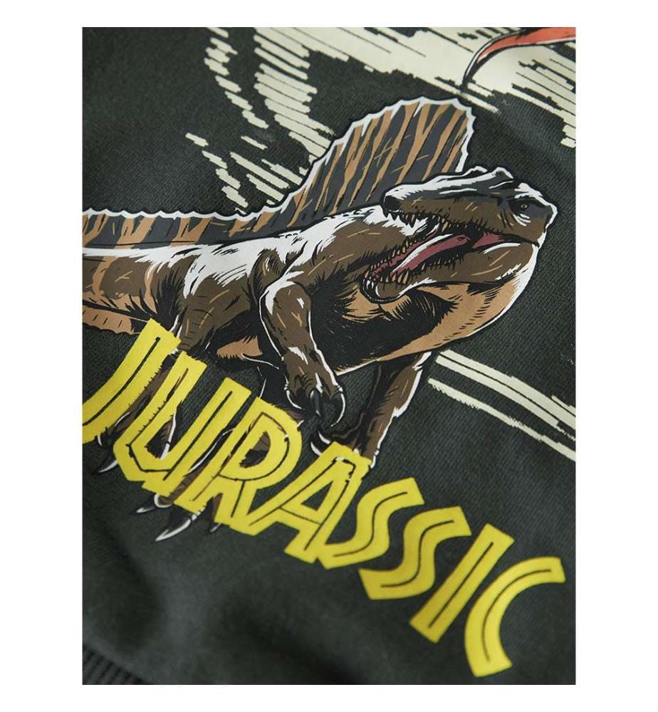 Veste sweat Jurassic Jal - Gris Urbain