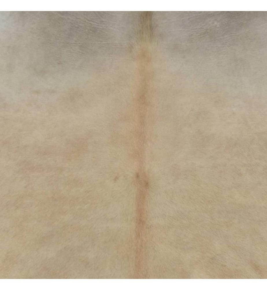 Tapis en peau de vache véritable 150 x 170 cm Beige