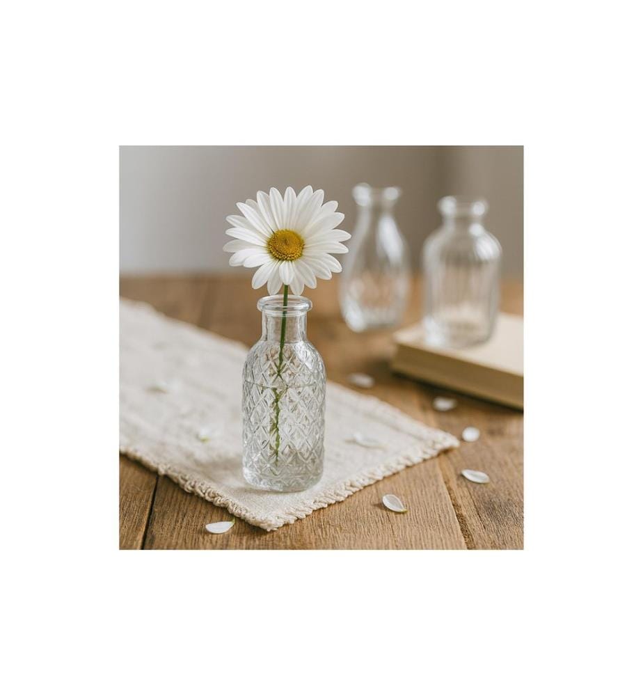 RELAXDAYS - Vasen-Set Transparent