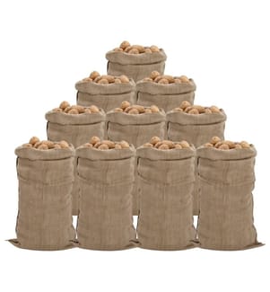 Sacs en jute 10 pièces 65x135 cm 100 % jute 340 g/m²
