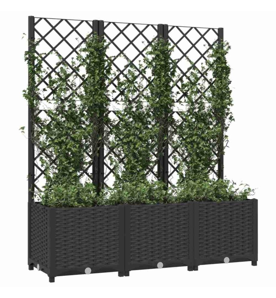 Pflanzkübel mit Spalier Schwarz 120x40x136 cm PP