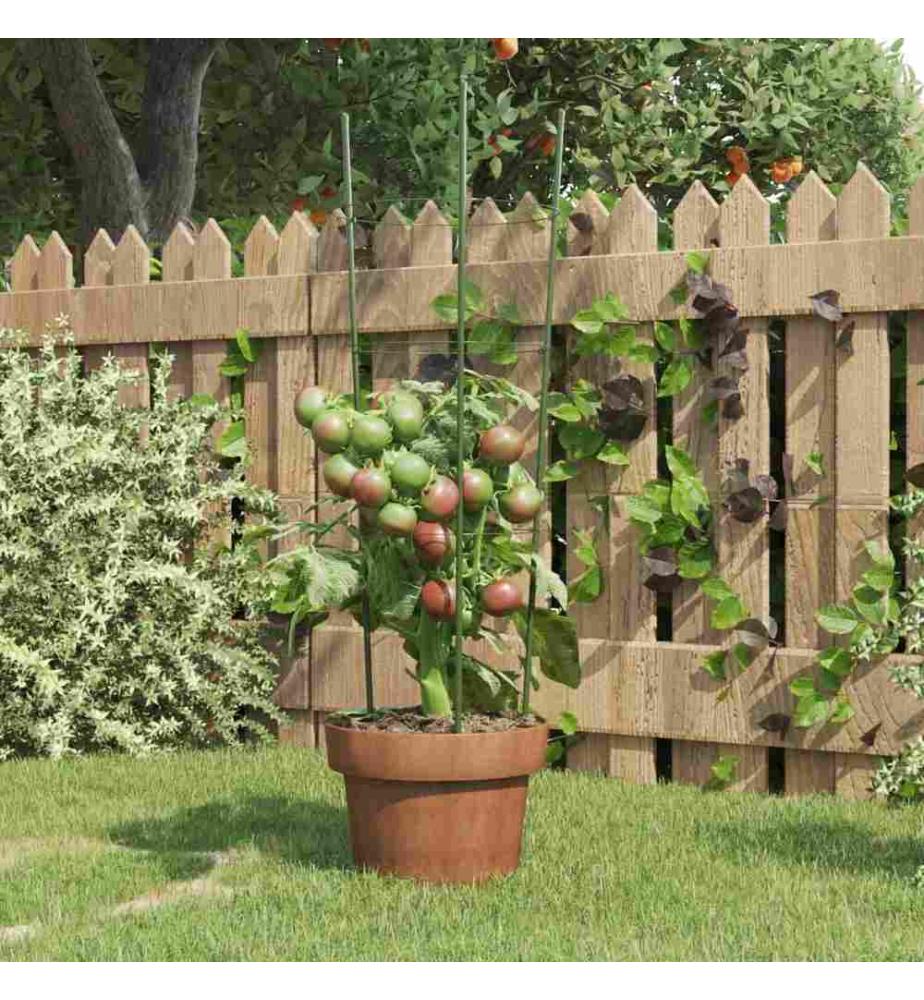 Pflanzenstützen mit 3 Ringen 5 Stk. Grün 60 cm Stahl