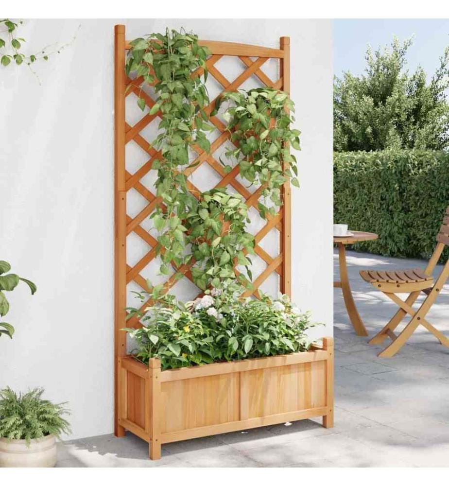 Jardinière avec treillis marron bois massif de sapin