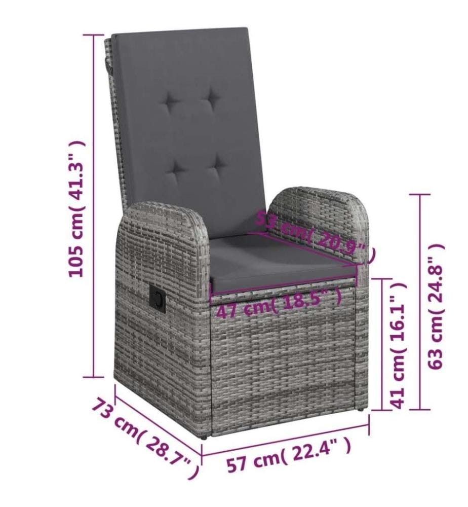 Chaise inclinable de jardin 2pc et coussins Résine tressée Gris