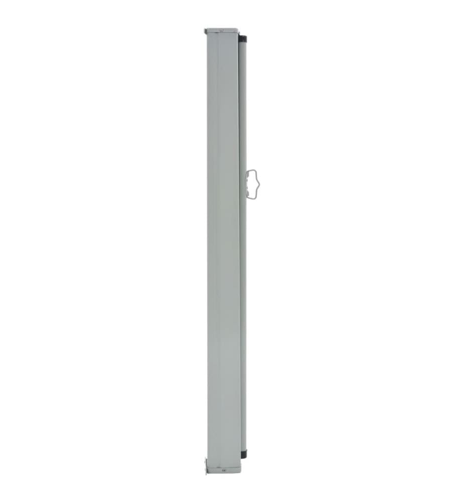 Ausziehbare Seitenmarkise 100x300 cm Braun