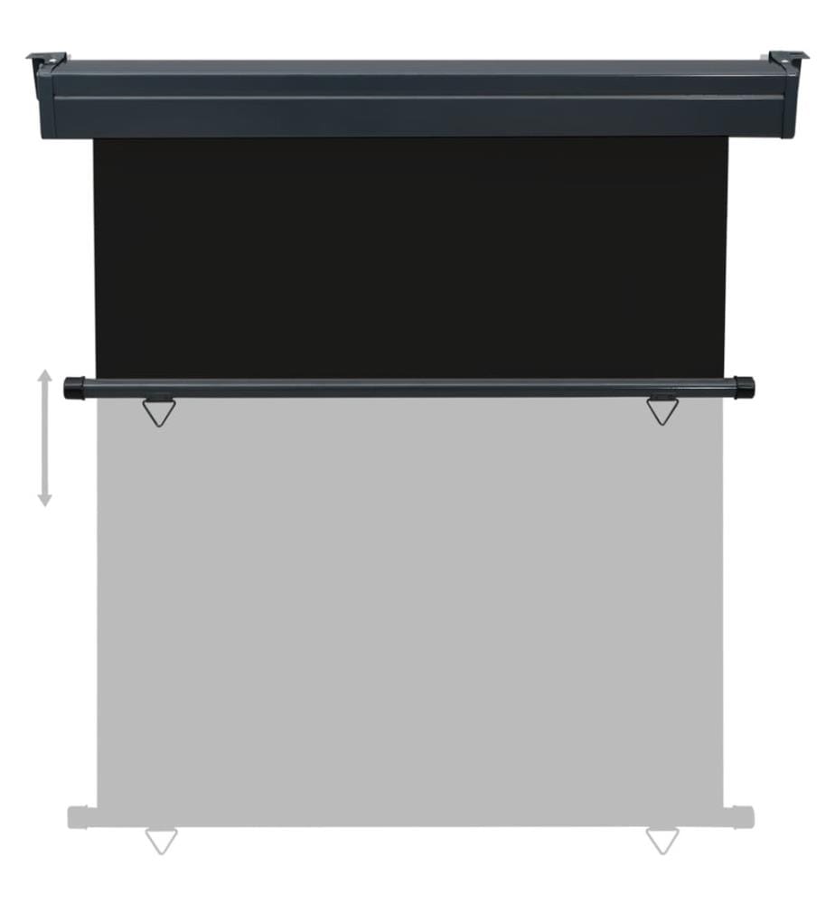 Balkon-Seitenmarkise 160 × 250 cm Schwarz