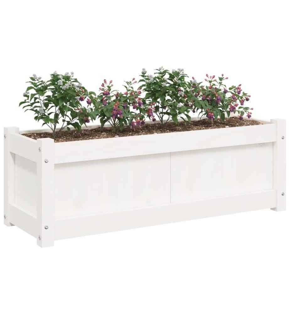Jardinières 2 pcs blanc bois de pin massif